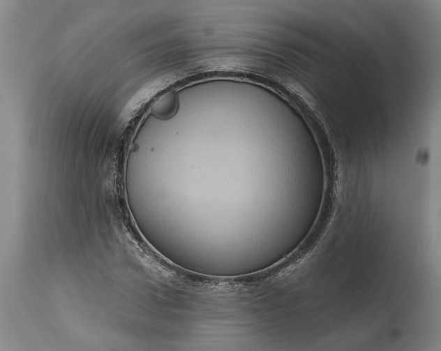 X0000115450922200911181543