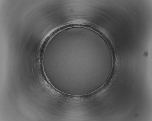 X0000115450923200911181543