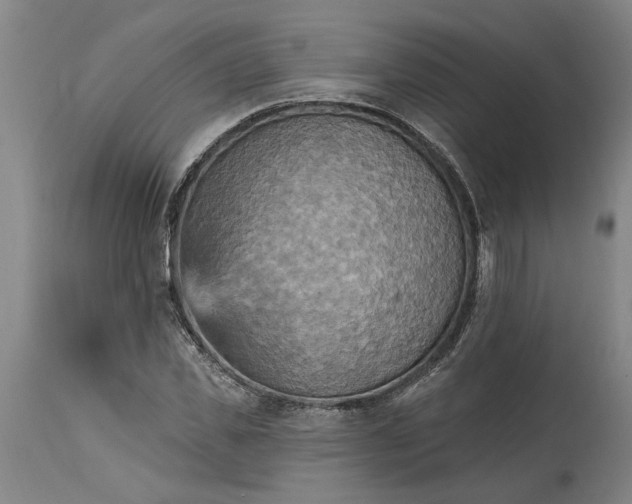 X0000115450925200911181543