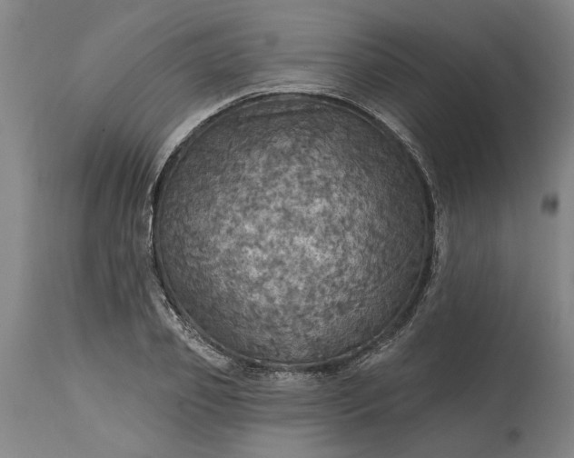 X0000115450933200911181544