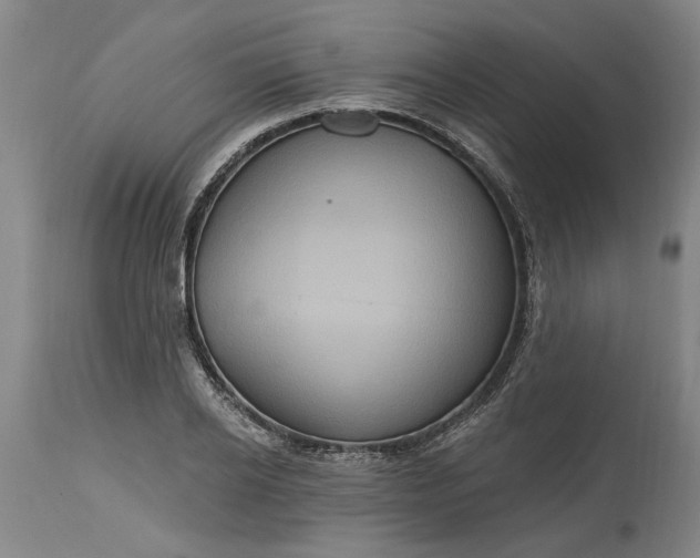 X0000115450934200911181544