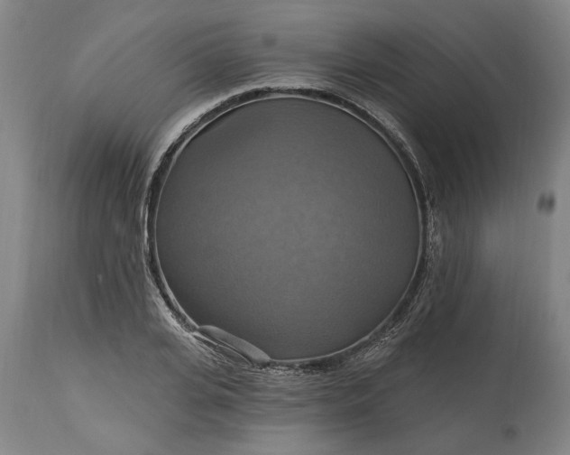 X0000115450935200911181544