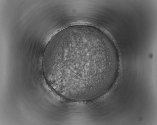 X0000115450937200911181544