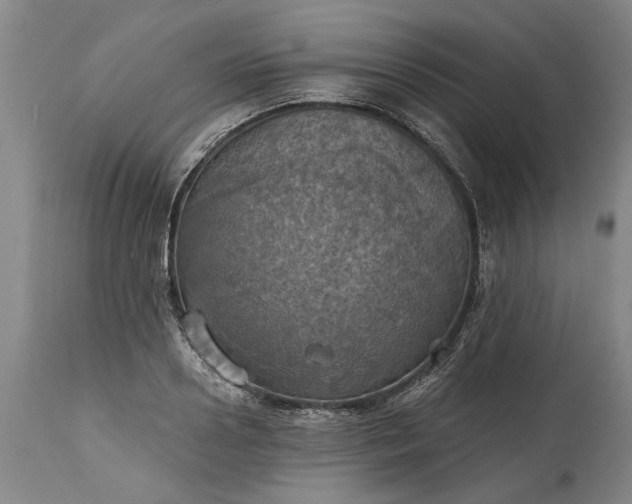 X0000115450938200911181544