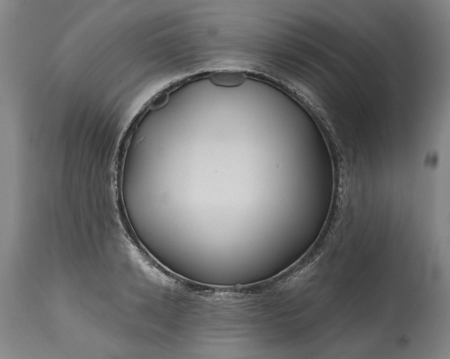 X0000115450942200911181544