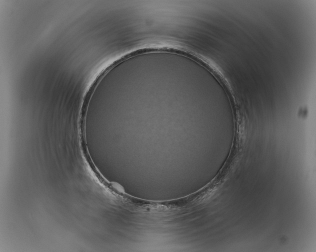 X0000115450943200911181544