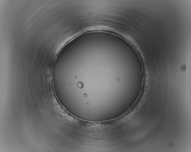 X0000115450945200911181544