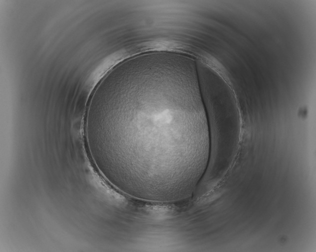 X0000115450946200911181544