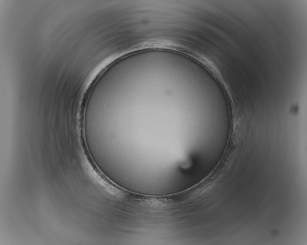 X0000115450947200911181544