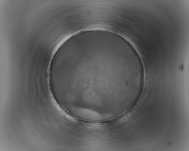 X0000115450949200911181544