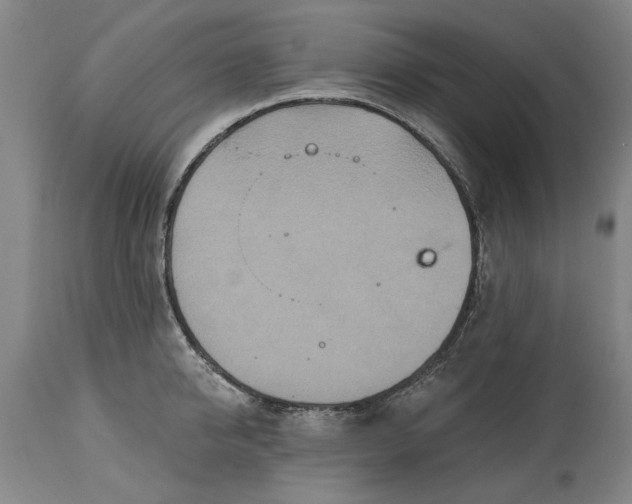 X0000115450950200911181544