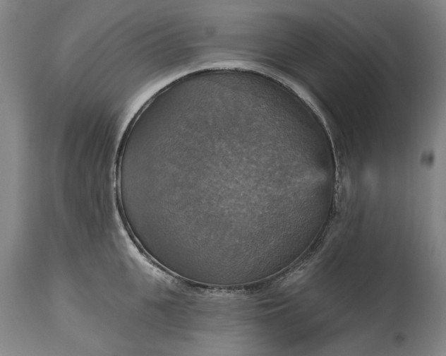 X0000115450951200911181544