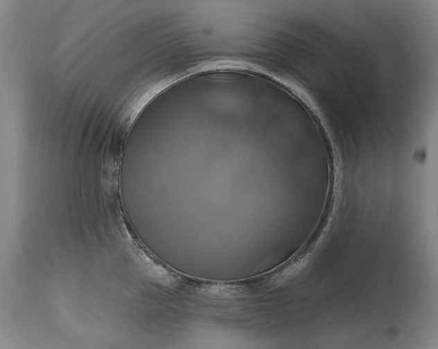 X0000115450953200911181544