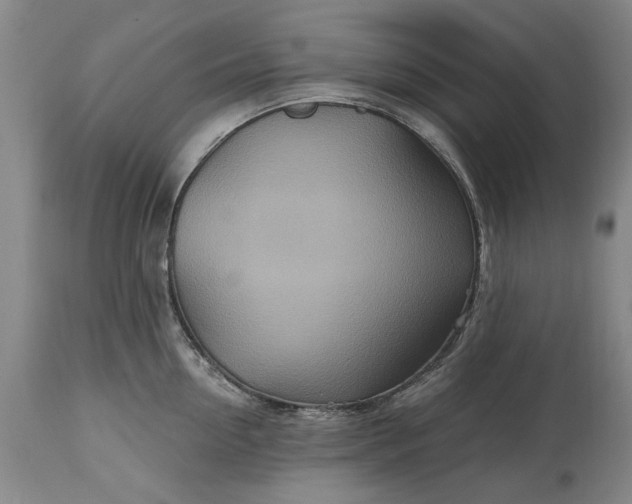 X0000115450954200911181544