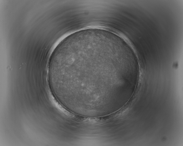 X0000115450955200911181544