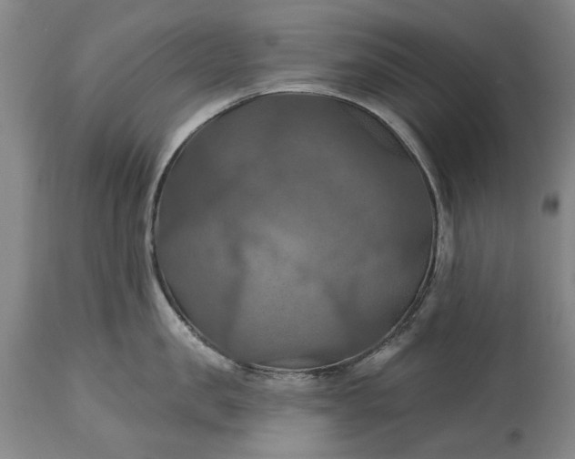 X0000115450957200911181544