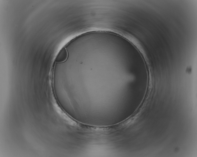 X0000115450958200911181544