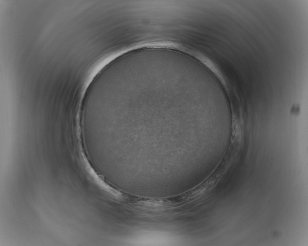 X0000115450959200911181544