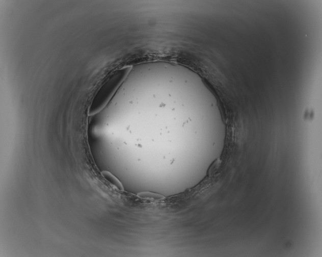 X0000115450961200911181543