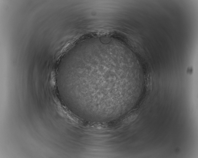 X0000115450962200911181543