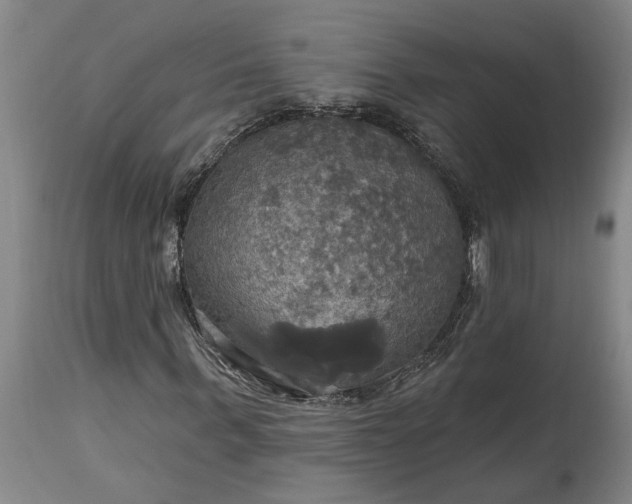 X0000115450963200911181543