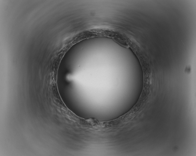 X0000115450965200911181543