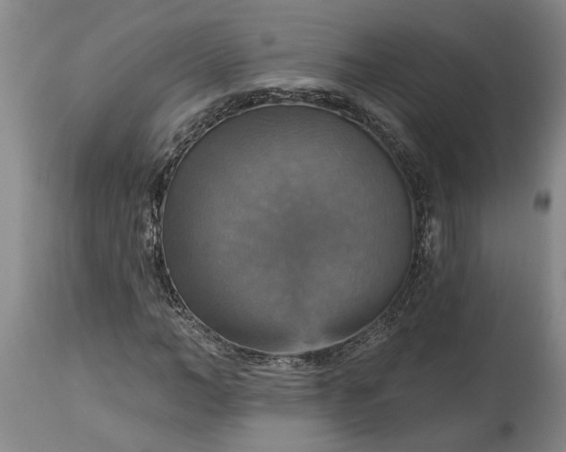 X0000115450966200911181543