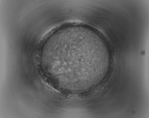 X0000115450967200911181543