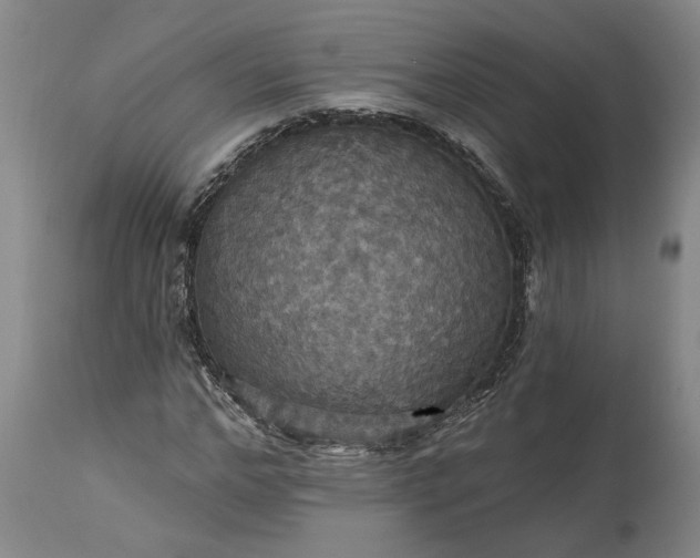 X0000115450968200911181543