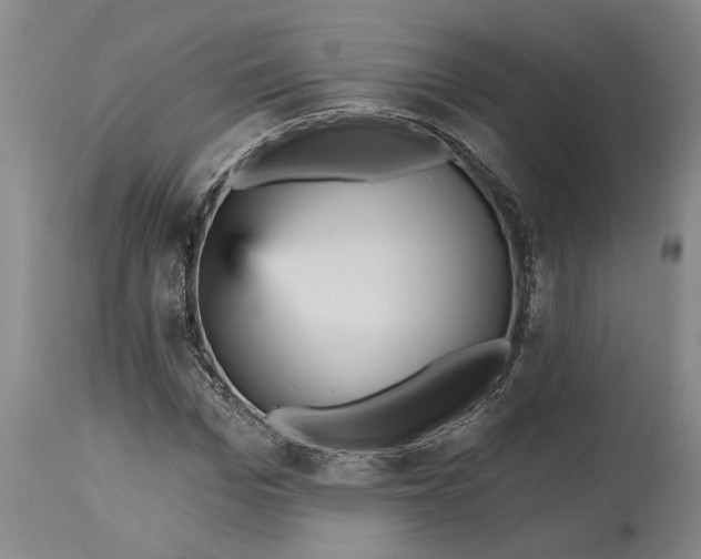 X0000115450969200911181543