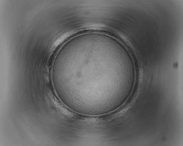 X0000115450970200911181543