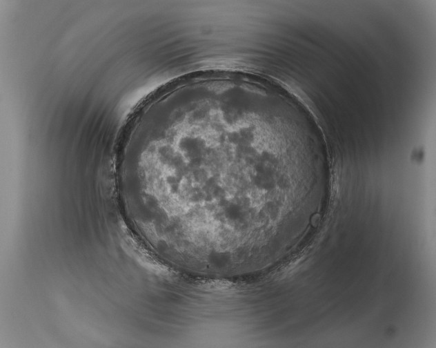 X0000115450971200911181543