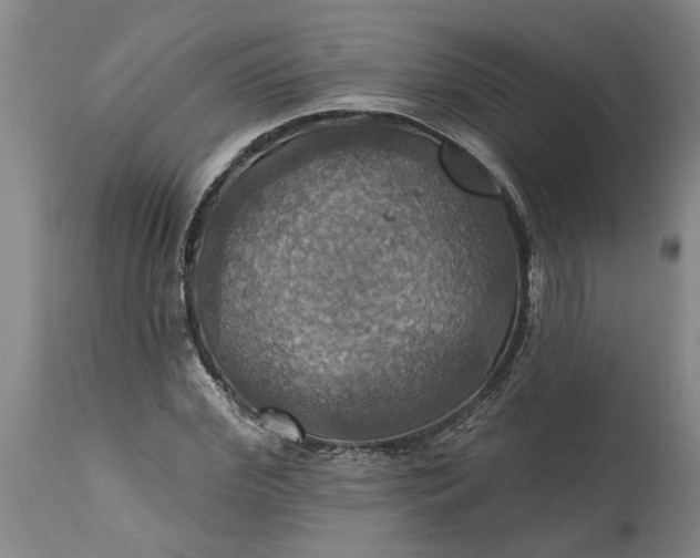 X0000115450972200911181543