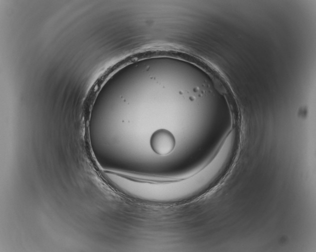 X0000115450973200911181543