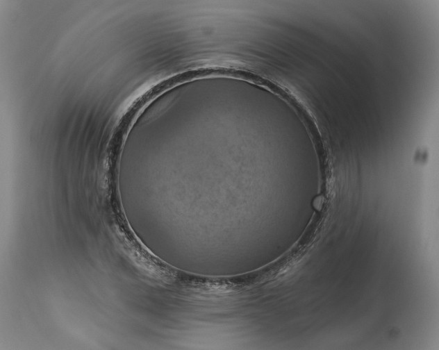 X0000115450975200911181543