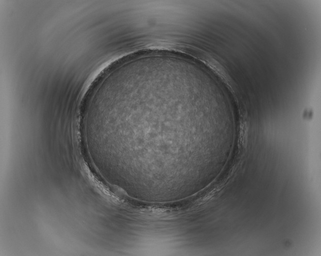 X0000115450976200911181543