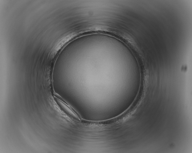 X0000115450977200911181543