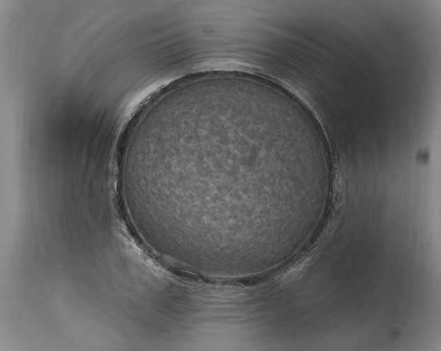 X0000115450979200911181543