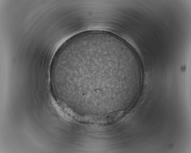 X0000115450980200911181543