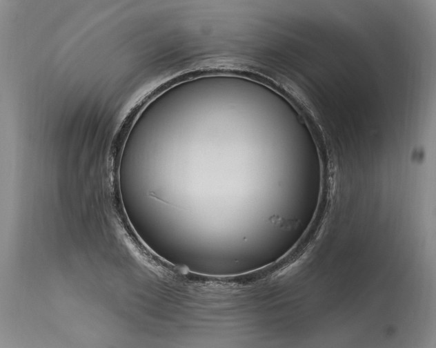 X0000115450981200911181543