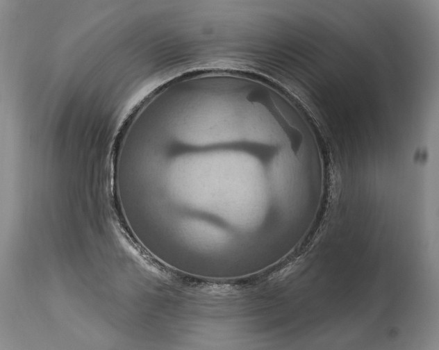 X0000115450982200911181543