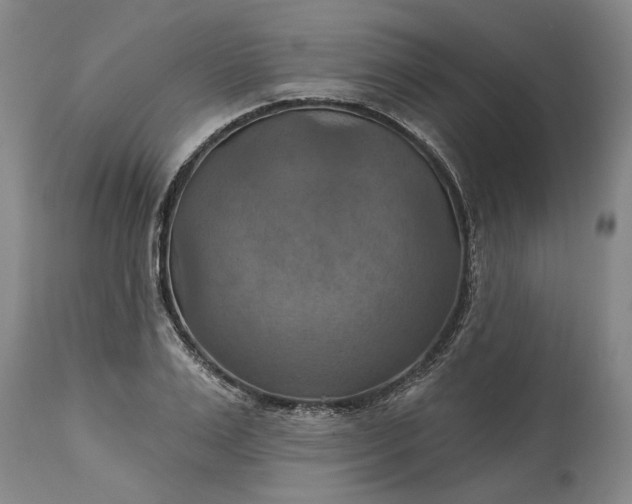 X0000115450983200911181543