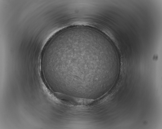 X0000115450984200911181543