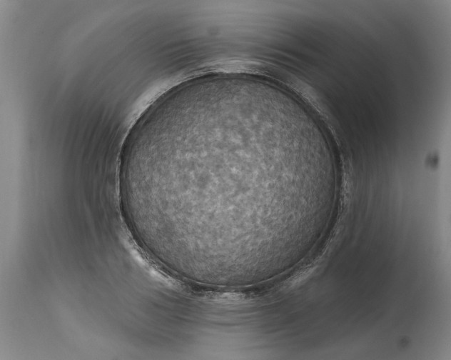 X0000115450986200911181543