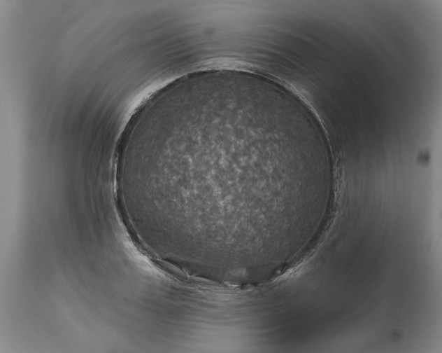 X0000115450987200911181543