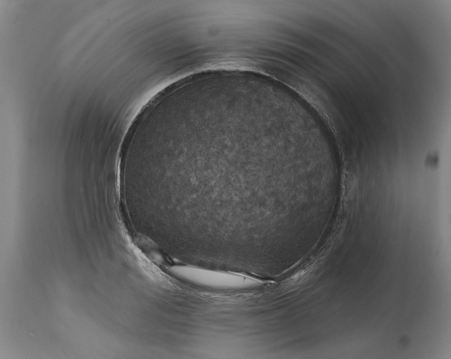 X0000115450988200911181543