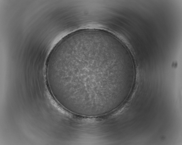 X0000115450990200911181543