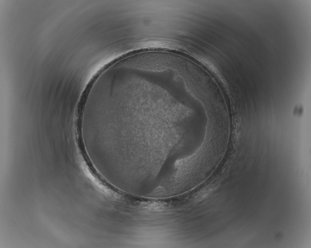 X0000115450991200911181543