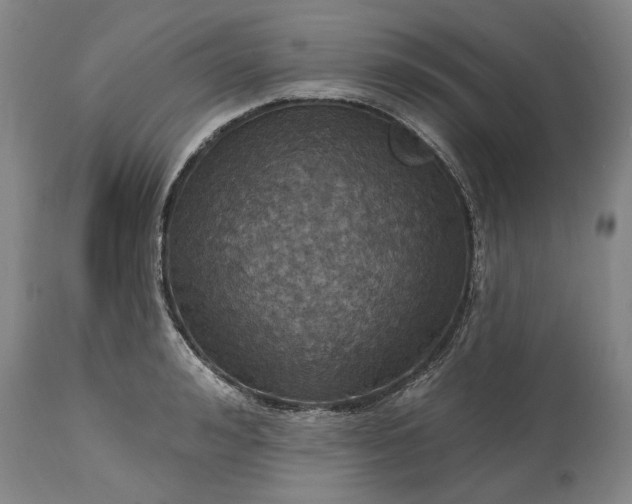 X0000115450992200911181543