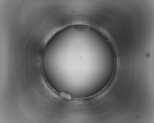 X0000115450993200911181543